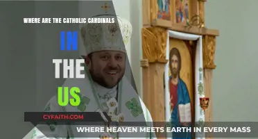 Where Are the Catholic Cardinals in the US Today?