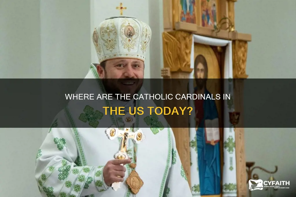where are the catholic cardinals in the us