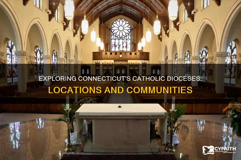 where are the catholic dioceses in ct
