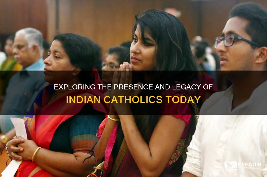 where are the indian catholics