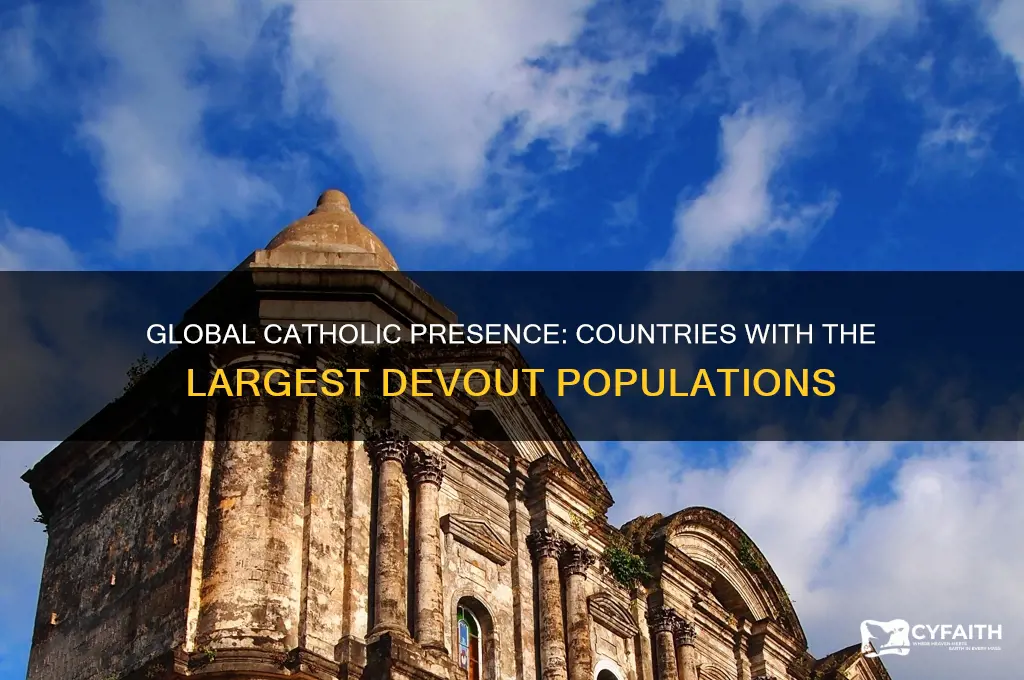 where are the largest catholic populations