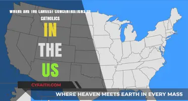 Mapping America's Catholic Heartland: Regions with the Largest Catholic Populations