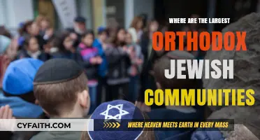 Exploring the World's Largest Orthodox Jewish Communities: Locations and Insights