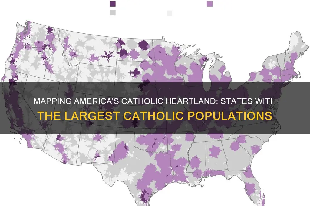 where are the most catholics in the us