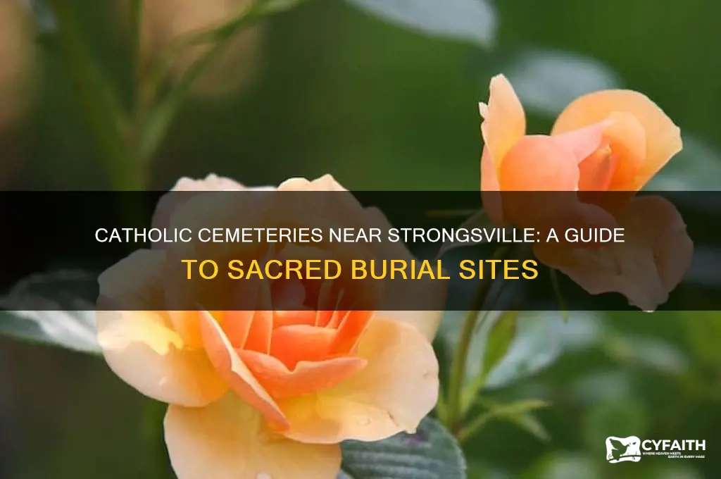 where are there catholic burial places near strongsville