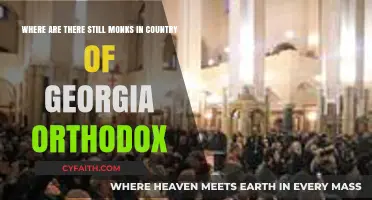 Discovering Georgia's Orthodox Monks: Active Monasteries in a Historic Land