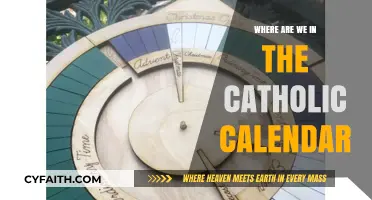 Navigating the Catholic Liturgical Calendar: Our Current Season and Feast Days