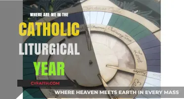 Navigating the Catholic Liturgical Calendar: Our Current Season and Feast