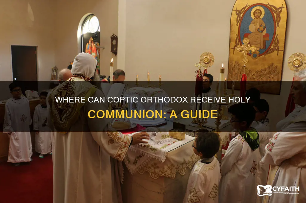 where can coptic orthodox have commnuion