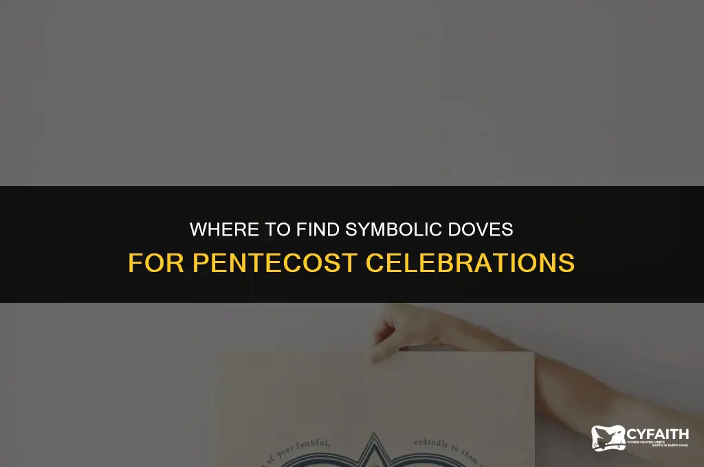 where can i buy pentecost dove