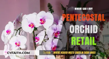 Discover the Best Retail Spots for Pentecostal Orchids Near You