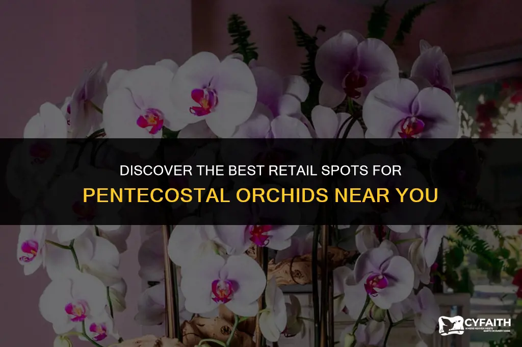 where can i buy pentecostal orchid retail
