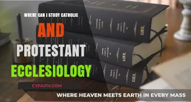 Exploring Catholic and Protestant Ecclesiology: Top Institutions for Study