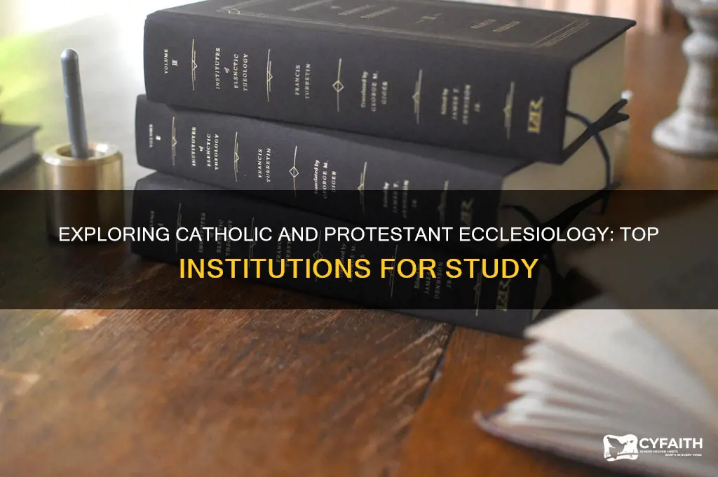 where can i study catholic and protestant ecclesiology