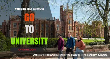 Irish Catholics' University Choices: A Historical Perspective