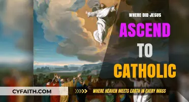 Where Did Jesus Ascend to According to Catholic Tradition?