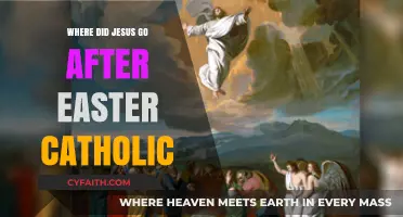 Jesus' Post-Resurrection Journey: Catholic Insights on His Ascension