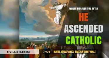 Jesus' Ascension: Catholic Insights on His Heavenly Journey Post-Resurrection