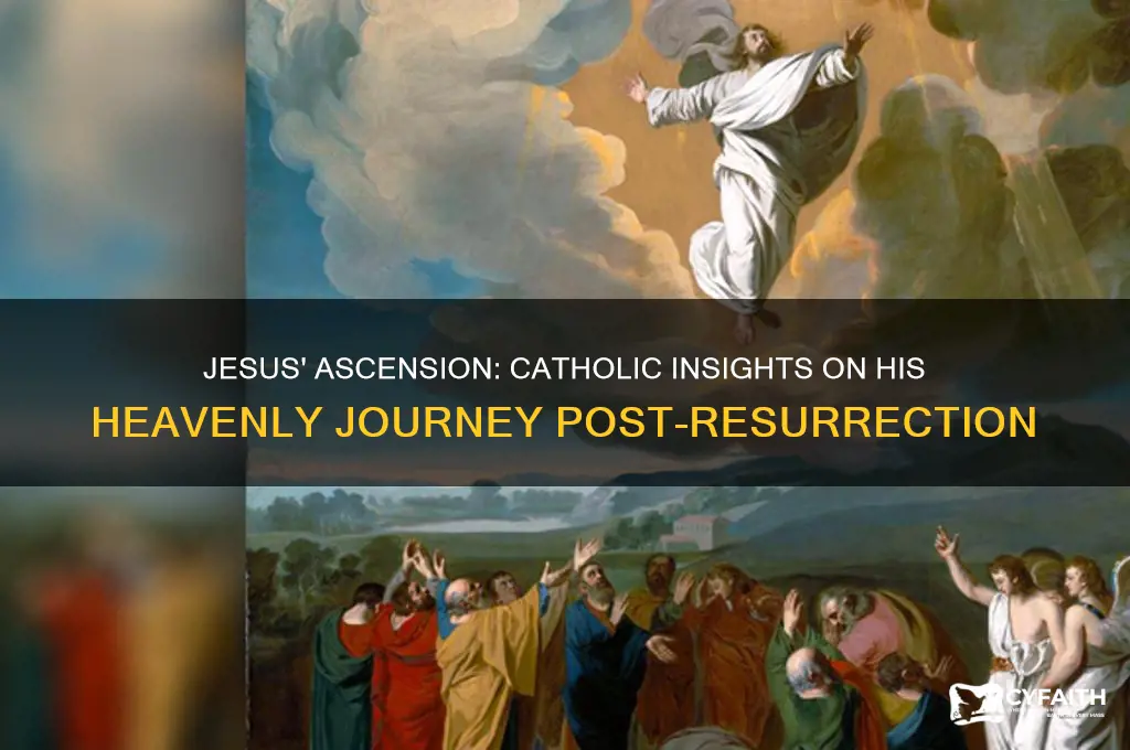 where did jesus go after he ascended catholic