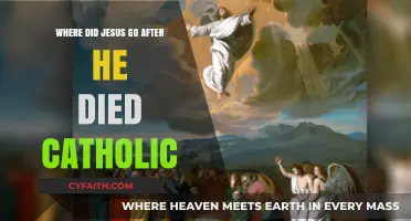 Jesus' Post-Resurrection Journey: Catholic Insights on His Ascension