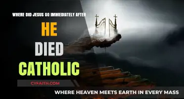 Jesus' Post-Death Journey: Catholic Insights on His Immediate Destination