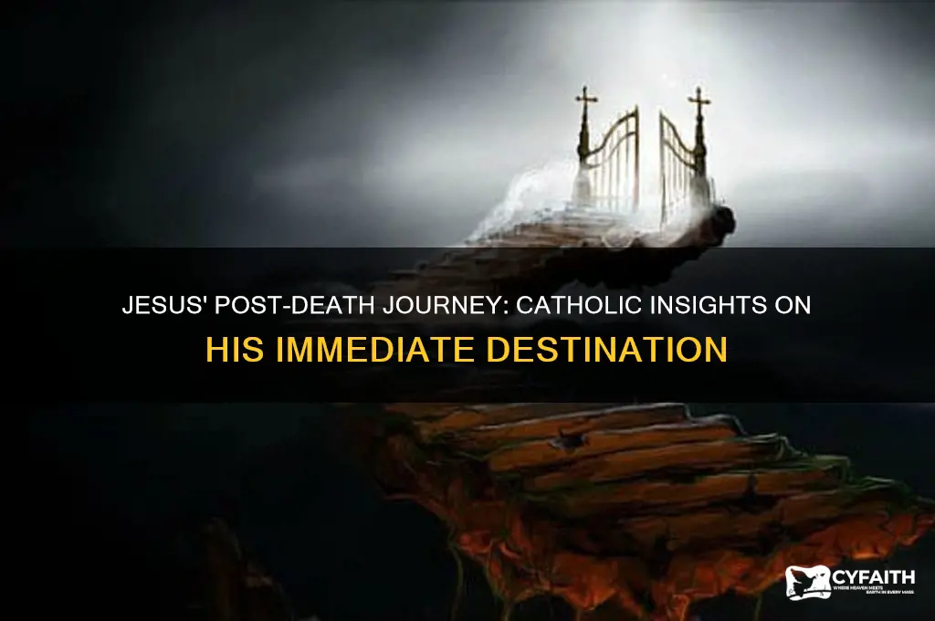 where did jesus go immediately after he died catholic