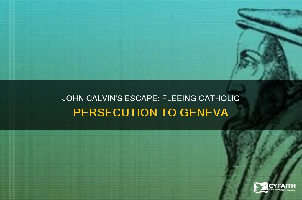 where did john calvin go when he fled catholic persecution