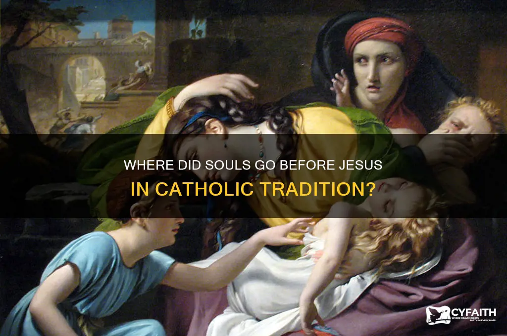 where did souls go before jesus catholic