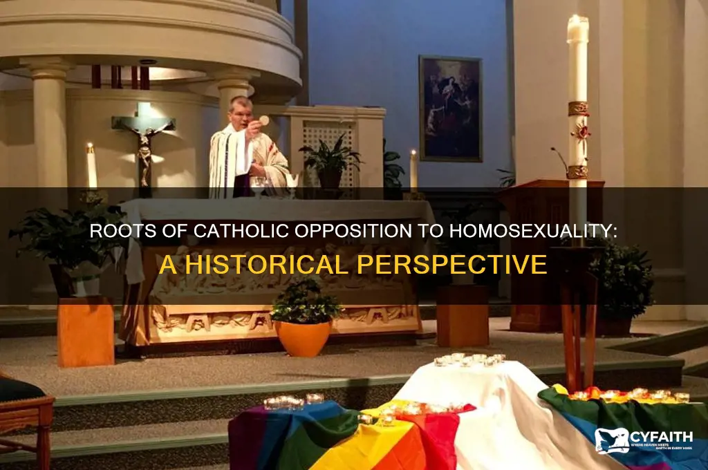 where did the catholic dislike of homosexuality come from