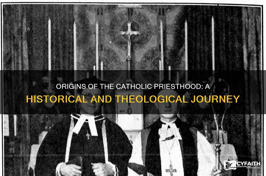 where did the catholic priesthood come from
