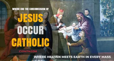 The Circumcision of Jesus: Catholic Tradition and Historical Insights