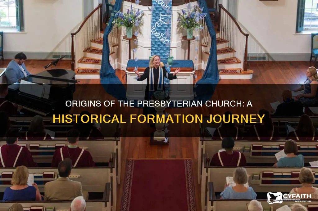 where did the presbyterian church get formed