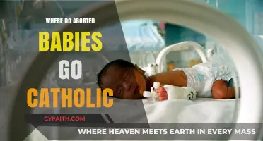 Catholic Teachings on the Souls of Aborted Children: Where Do They Go?