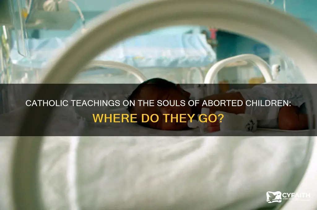 where do aborted babies go catholic