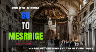 Where Do Catholics Go to Marry? Exploring Sacred Wedding Venues