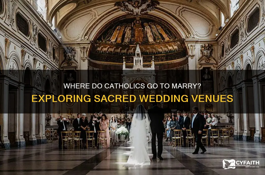 where do all the catholics go to mesrrige