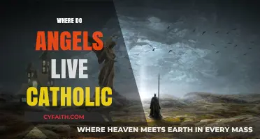 Where Do Angels Dwell? Exploring Catholic Teachings on Angelic Realms