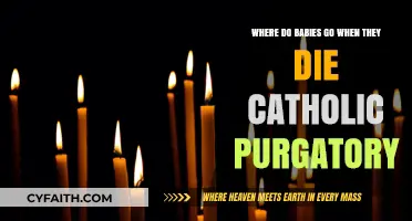 Catholic Beliefs: Do Babies Go to Purgatory After Death?