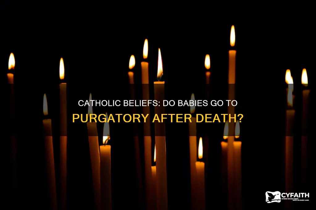 where do babies go when they die catholic purgatory