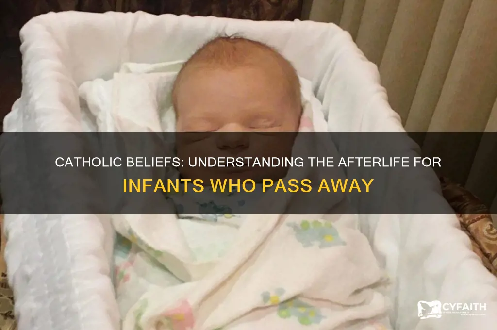 where do babies go when they die catholic