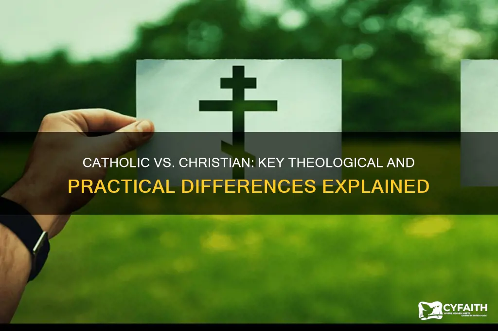 where do catholic and chrisitan differ