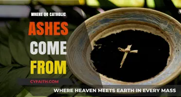 The Sacred Origin of Catholic Ashes: A Historical Journey