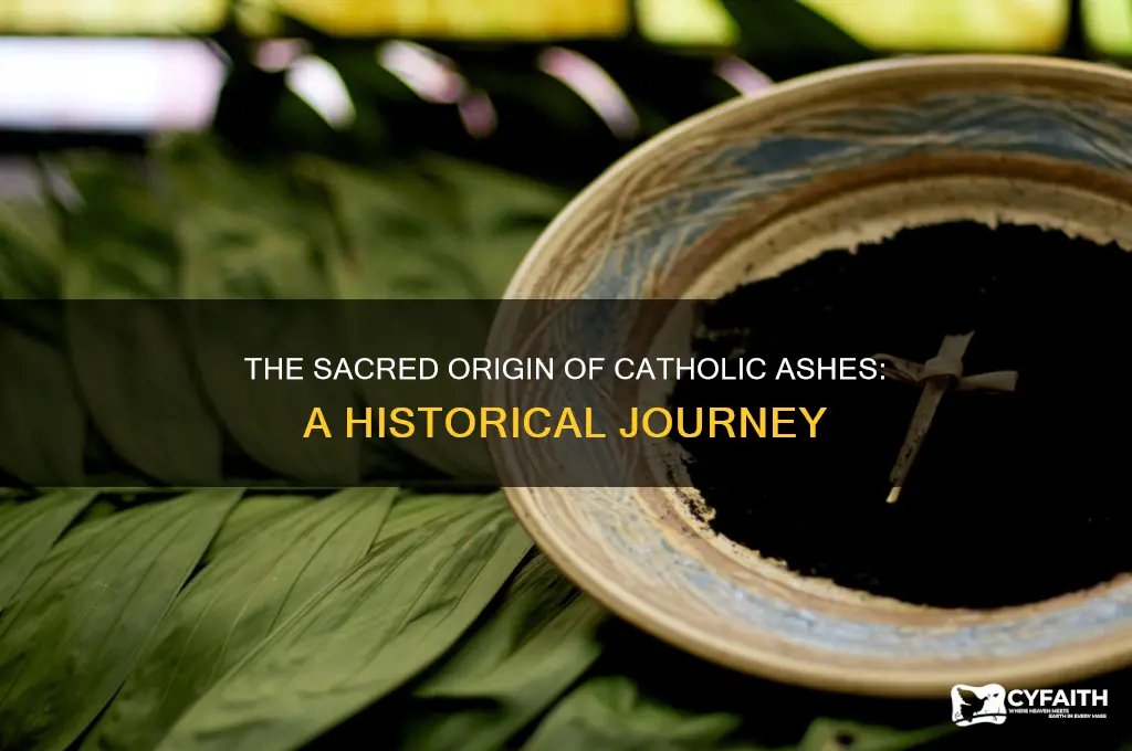 where do catholic ashes come from