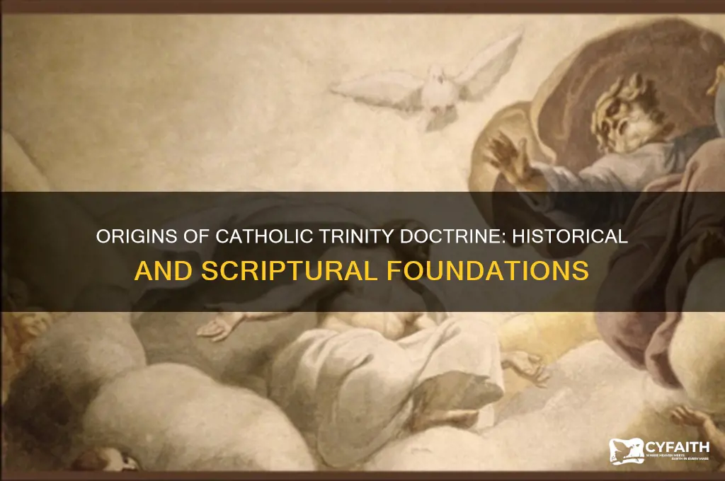 where do catholic beliefs about the trinity come from