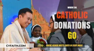 Where Do Catholic Donations Go? Tracing Funds in the Church