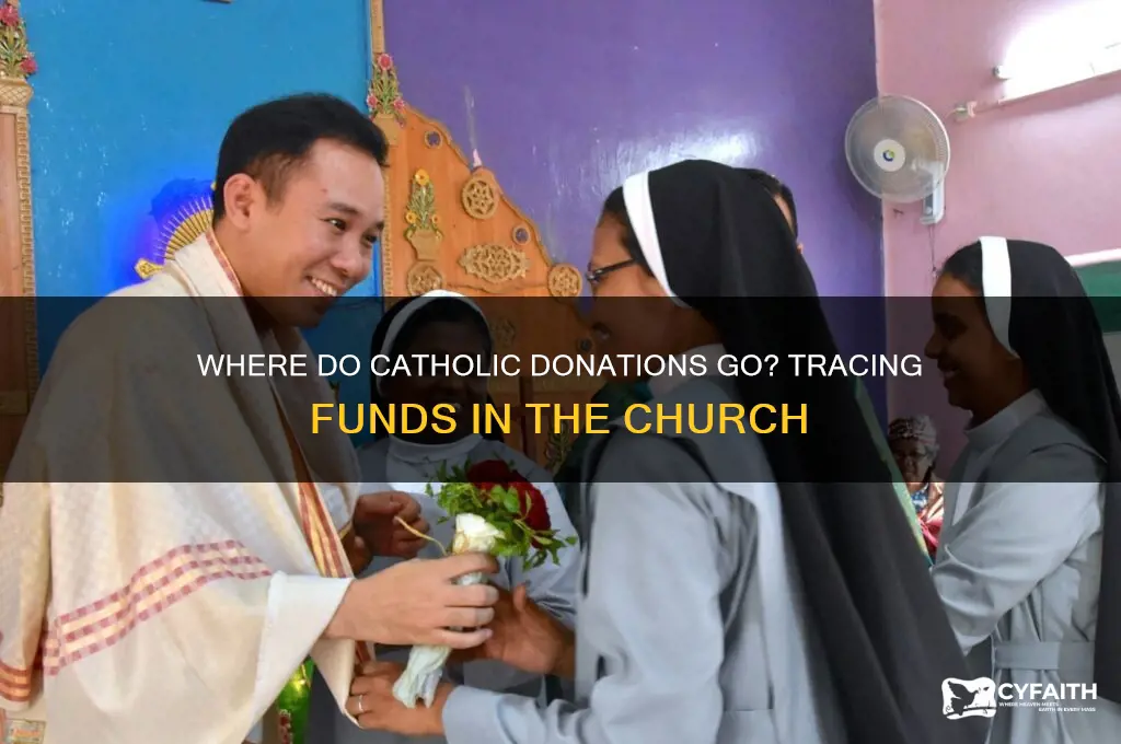 where do catholic donations go