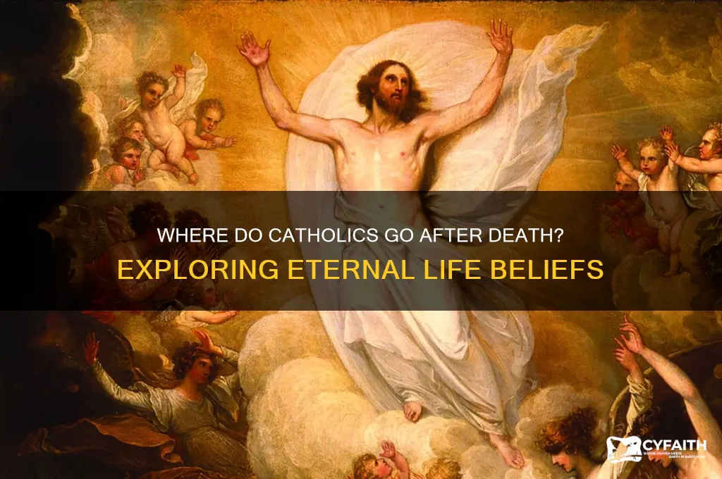 where do catholic go when they die