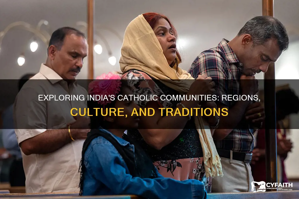 where do catholic livw i india