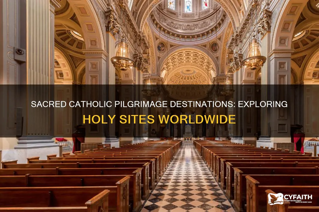 where do catholic pilgrims go
