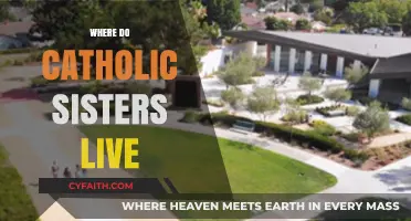 Where Do Catholic Sisters Live? Exploring Their Communities and Homes